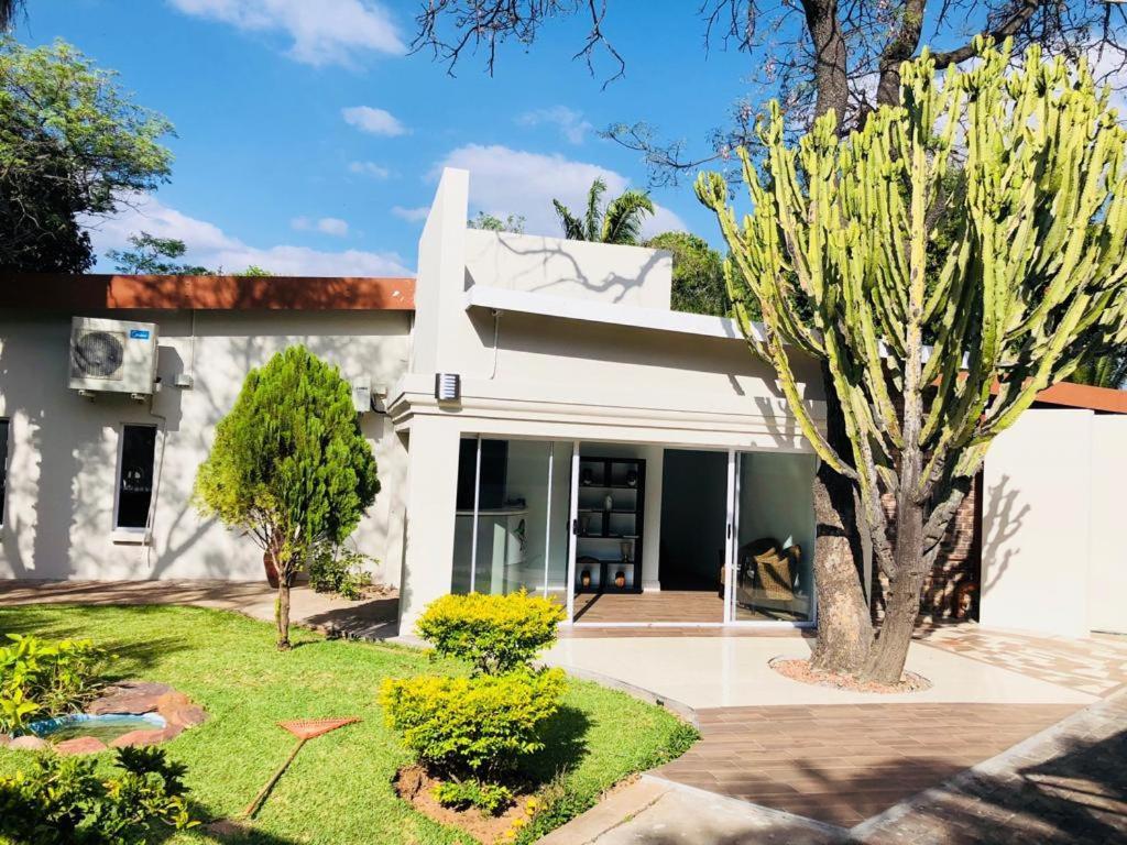 Bosveld Guest House Onverwacht 외부 사진